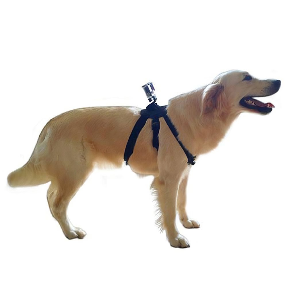Annox Fetch Dog Harness for GoPro